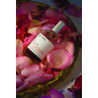 Miller et Bertaux Shanti Shanti edp 100ml
