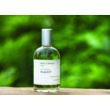 Miller et Bertaux Study # 17 edp 100ml