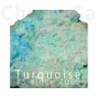 Olivier Durbano Turquoise edp 100ml