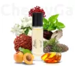 Plume Impression Que Tal Eau De Parfum 15ml