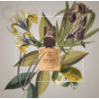 Profumi Di Pantelleria Approdo Extrait de Parfum 100ml