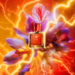 Affinessence Safran-Neroli Eau de Parfum 50ml