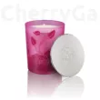 Etat Libre d'Orange Eau de Protection gyertya 185g