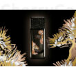 Evody Parfums Paris Couleur Fauve edp 100ml
