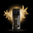 Evody Parfums Paris Fleur d'Oranger edp 50ml