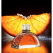 Gustave Eiffel Porto Vintage edp 100ml