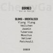 Sober Borneo Eau de Parfum 50ml