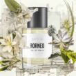 Sober Borneo Eau de Parfum 50ml