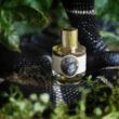 Zoologist King Cobra Extrait de Parfum 60ml 