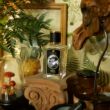 Zoologist Dodo Version II. Edp 60ml - Régi csomagolás