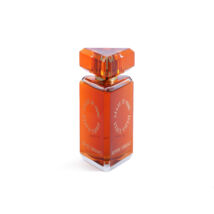 State of Mind Aesthetic Turbulence Edp 100ml