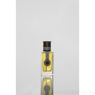 Angela Ciampagna Aer edp 50ml