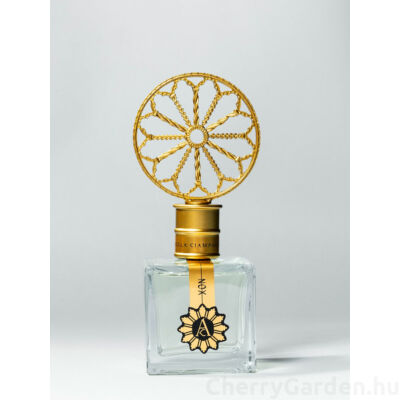 Angela Ciampagna Nox edp 100ml (Új csomagolás)
