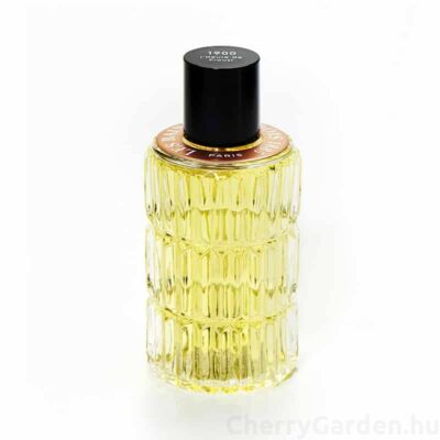 Les Bains  Guerbois 1900 l'Heure de Proust Edp 100ml