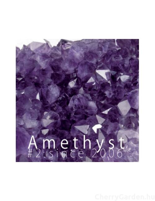 Olivier Durbano Amethyst edp 100ml