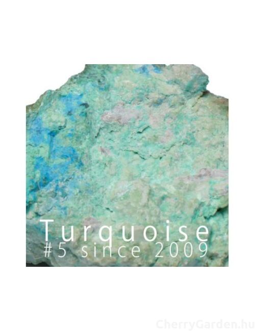 Olivier Durbano Turquoise edp 100ml