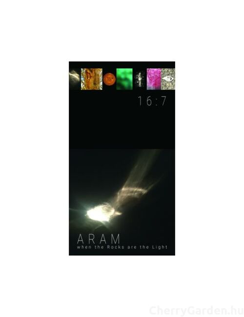 Olivier Durbano Aram edp 100ml