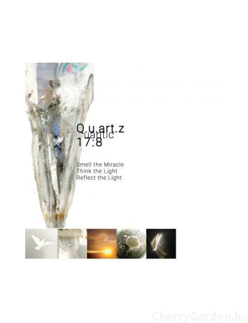 Olivier Durbano Quartz Quantic 17:8 Eau De Parfum 100ml