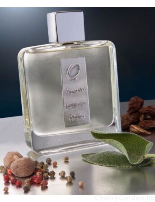 Omnia Profumi Argento edp 100ml