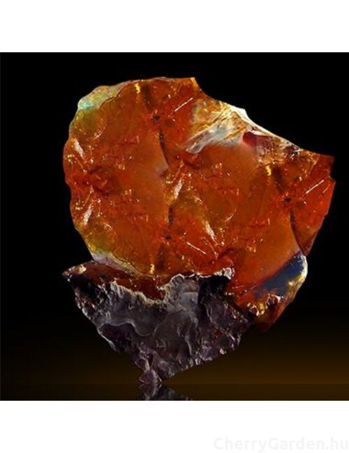 Orlov Paris By Orlov Collection Walk on the Wild Side edp 75ml