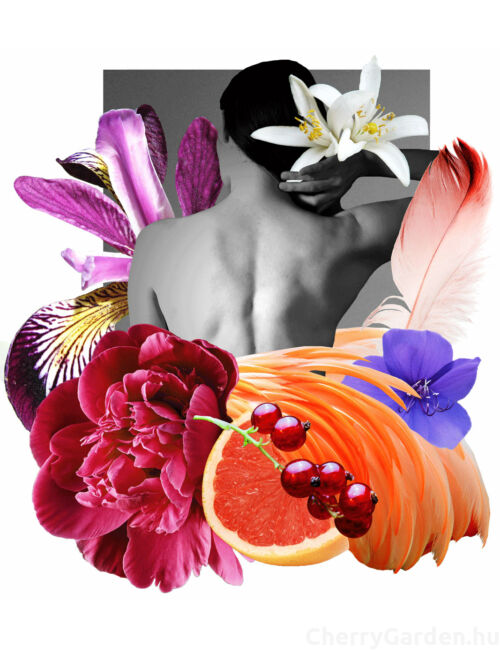 Plumages Paris Reflet Rose edp 100ml - Gyártása megszűnt - Már csak néhány példányban elérhető