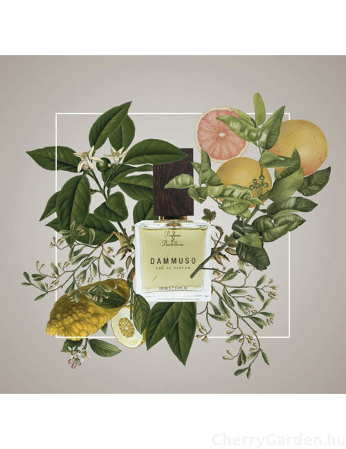 Profumi Di Pantelleria Dammuso edp 100ml