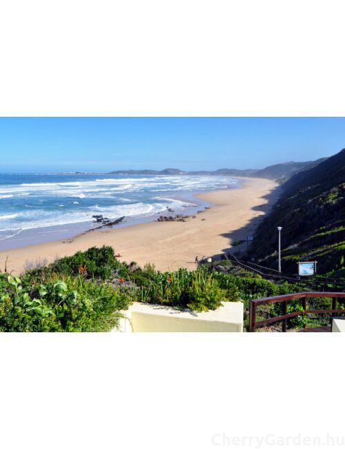 Aqualis London Brenton Parfum 50ml