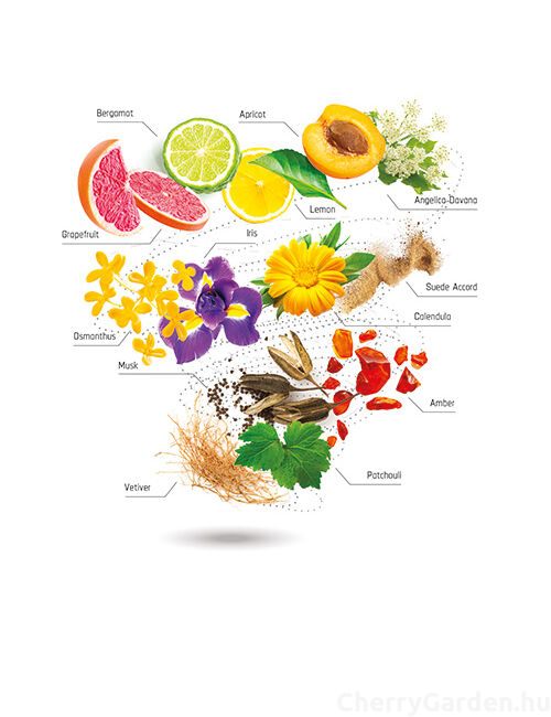 Accendis Fiorialux Eau de Parfum 100ml