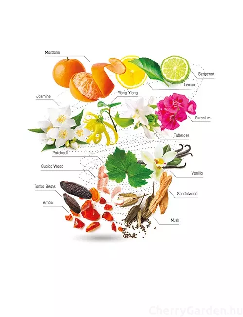 Accendis Nooria Eau de Parfum 100ml