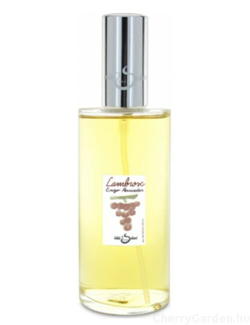 Hilde Soliani Lambrosc Enzo Persueder edp 30ml