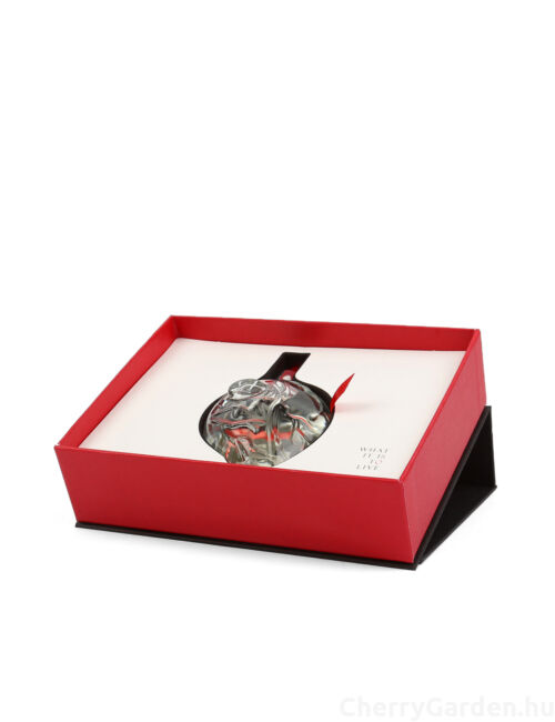 Map of the Heart Clear Heart V.1 Edp 90ml