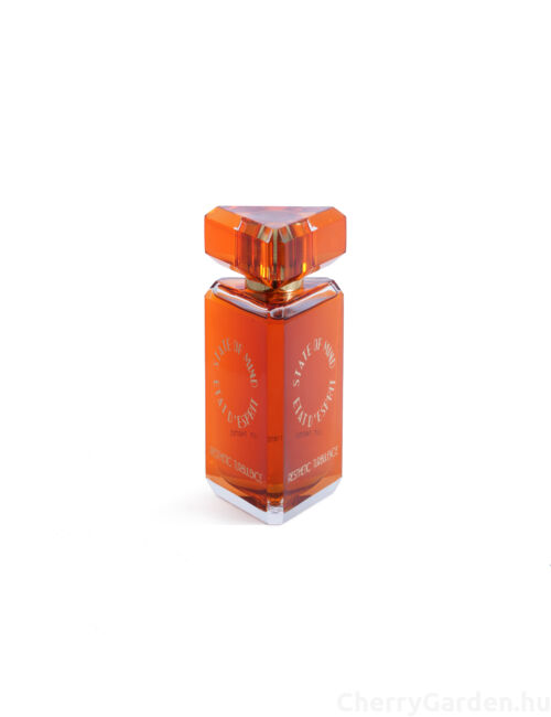 State of Mind Aesthetic Turbulence Edp 100ml