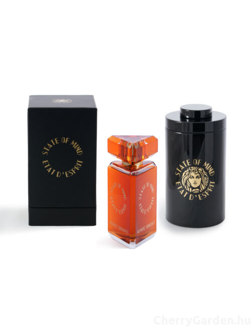 State of Mind Aesthetic Turbulence Edp 100ml