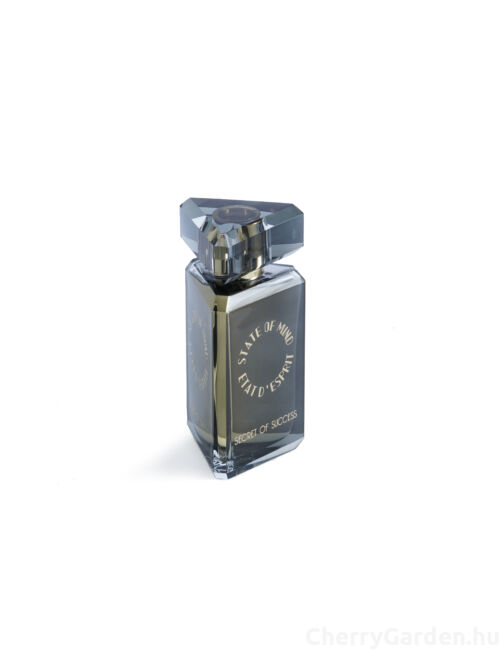 State of Mind Secret of Success Edp 100ml