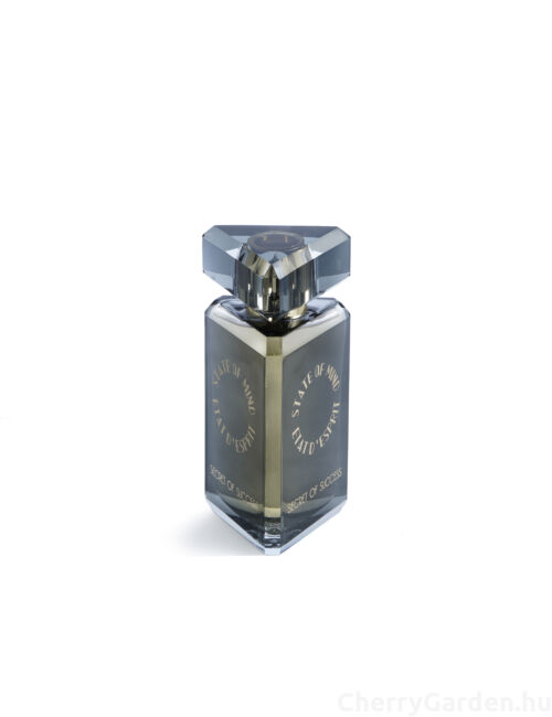 State of Mind Secret of Success Edp 100ml
