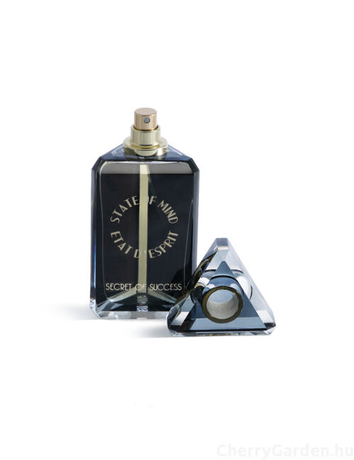 State of Mind Secret of Success Edp 100ml