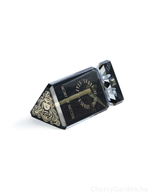 State of Mind Secret of Success Edp 100ml